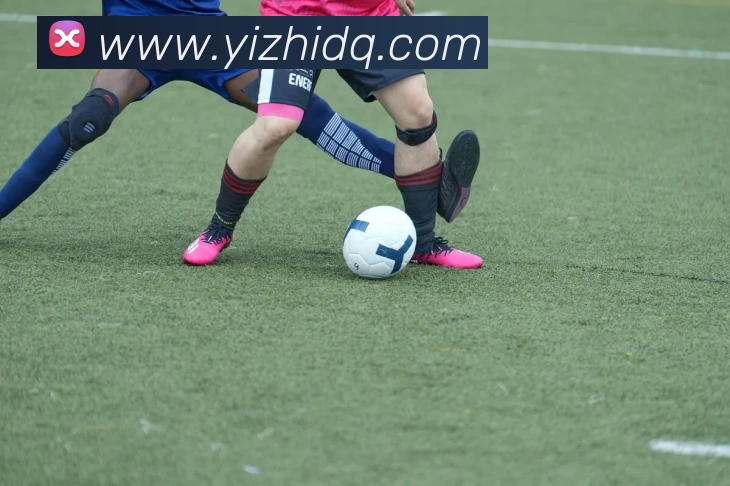 App Interface Preview