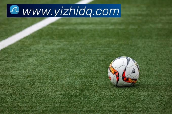 华体会appAPP 封面图