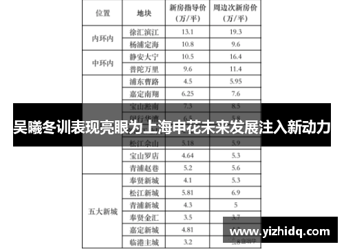 吴曦冬训表现亮眼为上海申花未来发展注入新动力