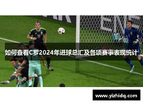 如何查看C罗2024年进球总汇及各项赛事表现统计