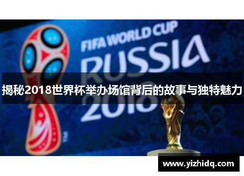 揭秘2018世界杯举办场馆背后的故事与独特魅力
